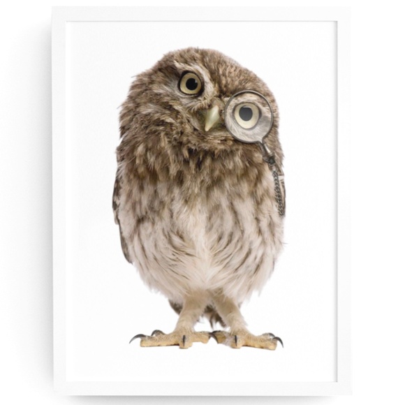 Owl Portrait Wall Art Print Poster Unframed - Picture 2 of 9